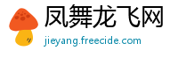 凤舞龙飞网